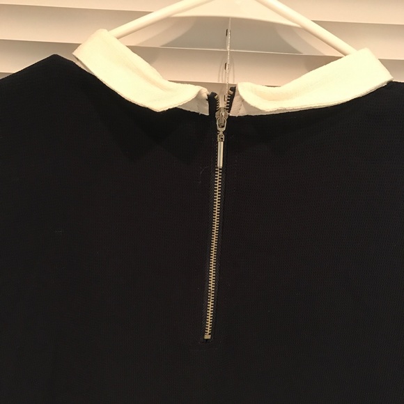 🔥Final Sale🔥 Zara collar dress - Picture 4 of 4